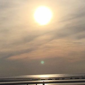 Meet your Posher, Gianna